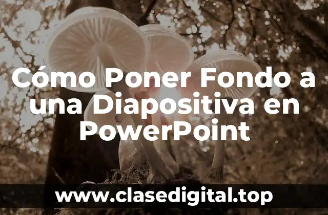 Cómo Seleccionar el Fondo Perfecto para tu Diapositiva