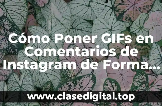 Ventajas de Utilizar GIFs en Comentarios de Instagram