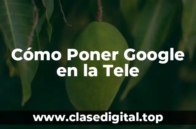 Cómo Poner Google en la Tele