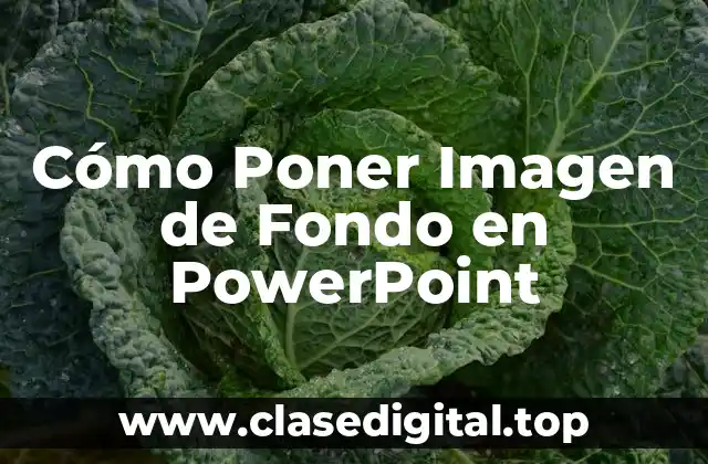 Cómo Poner Imagen de Fondo en PowerPoint