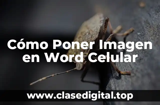 Cómo Poner Imagen en Word Celular