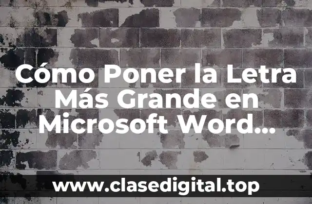 Cómo Poner la Letra Más Grande en Microsoft Word, Google Docs y Más