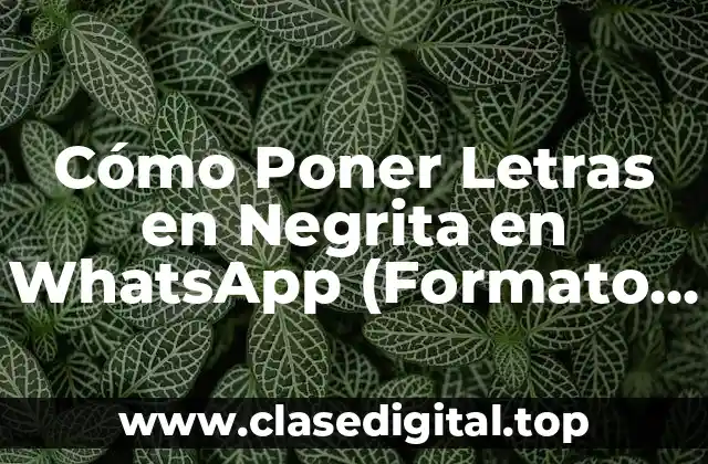 Cómo Poner Letras en Negrita en WhatsApp (Formato de Texto Avanzado)