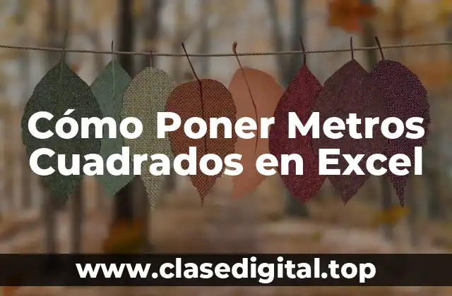 Cómo Poner Metros Cuadrados en Excel