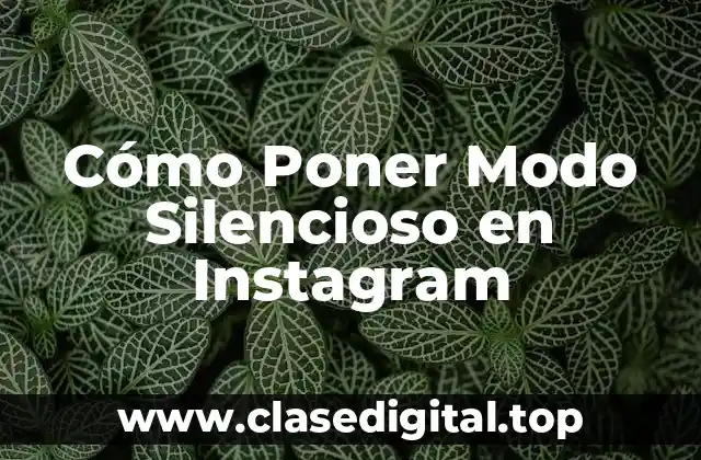 Cómo Poner Modo Silencioso en Instagram