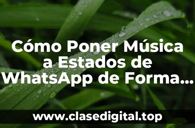 Cómo Poner Música a Estados de WhatsApp de Forma Fácil y Rápida
