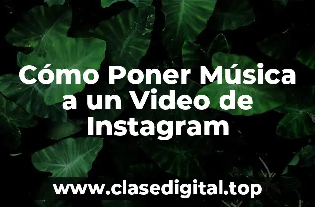 Cómo Poner Música a un Video de Instagram