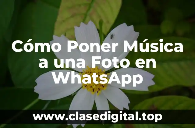 Cómo Poner Música a una Foto en WhatsApp