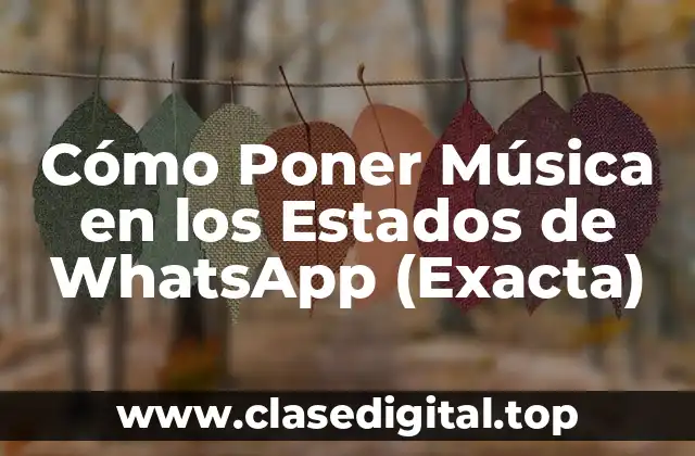 Cómo Poner Música en los Estados de WhatsApp (Exacta)