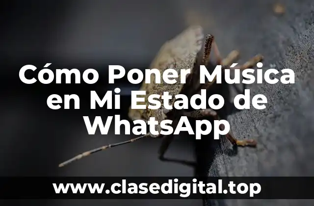 Cómo Poner Música en Mi Estado de WhatsApp