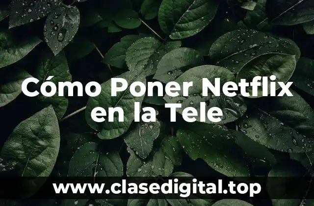 ¿Qué Necesito para Poner Netflix en la Tele?