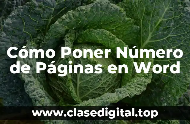 Cómo Poner Número de Páginas en Word
