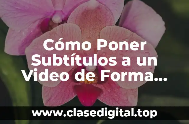 ¿Por qué son importantes los subtítulos en los videos?