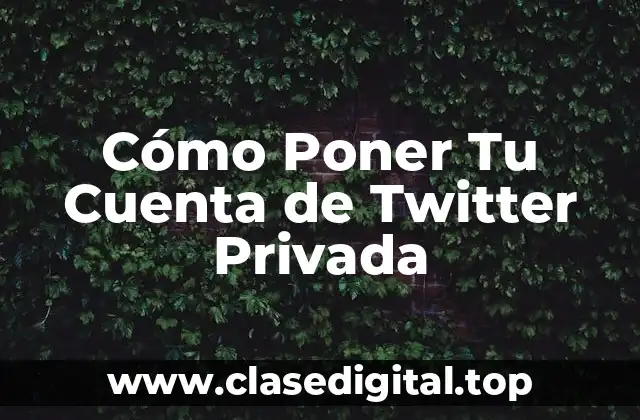 Cómo Poner Tu Cuenta de Twitter Privada