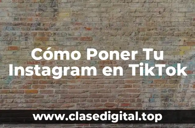 Cómo Poner Tu Instagram en TikTok