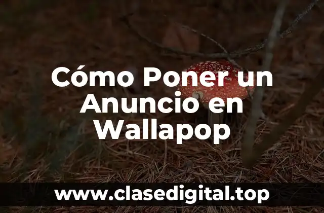 Cómo Poner un Anuncio en Wallapop