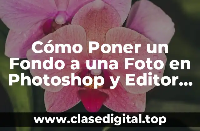 Cómo Poner un Fondo a una Foto en Photoshop y Editor de Fotos