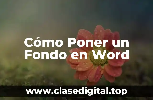 Cómo Poner un Fondo en Word