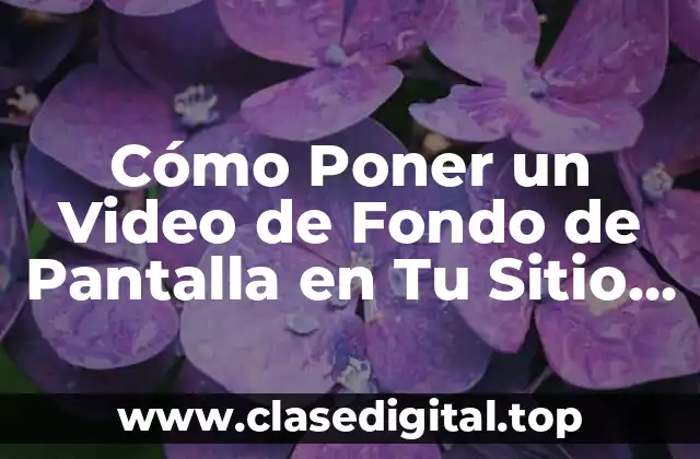 ¿Por qué Debes Considerar un Video de Fondo de Pantalla?
