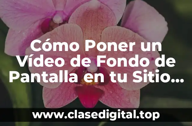 Beneficios de Poner un Vídeo de Fondo de Pantalla