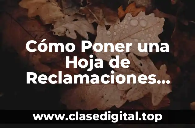 ¿Qué es una Hoja de Reclamaciones Online?