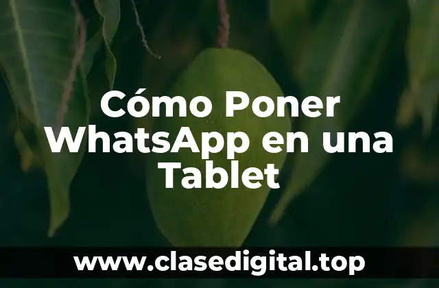 Cómo Poner WhatsApp en una Tablet