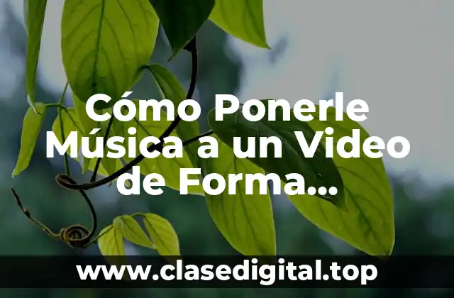 Cómo Ponerle Música a un Video de Forma Profesional