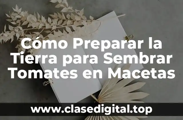 Cómo Preparar la Tierra para Sembrar Tomates en Macetas
