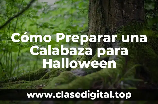 Cómo Preparar una Calabaza para Halloween