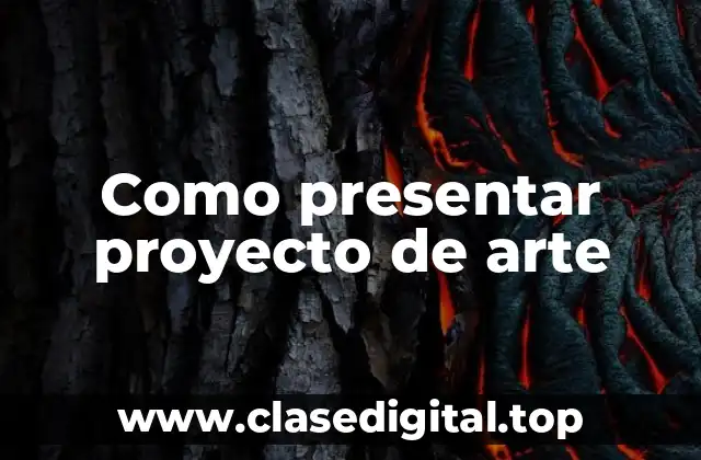 Como presentar proyecto de arte