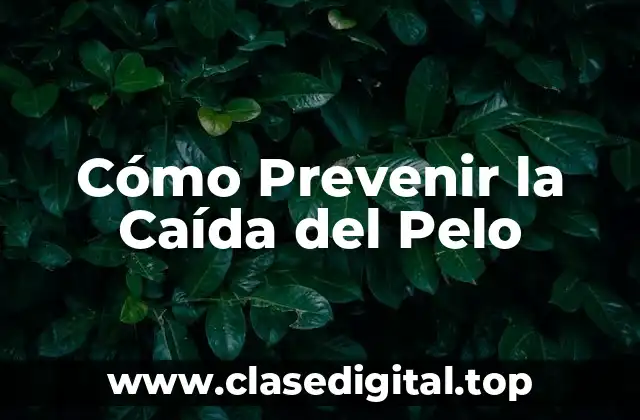 Cómo Prevenir la Caída del Pelo