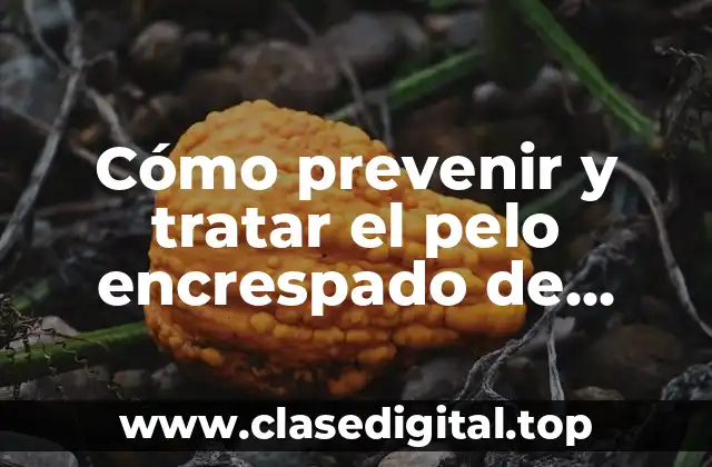 Cómo prevenir y tratar el pelo encrespado de forma natural