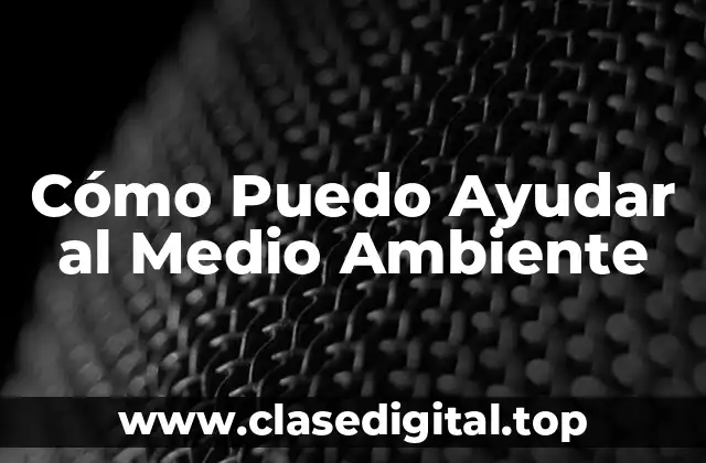 ¿Por qué es Importante la Protección del Medio Ambiente?