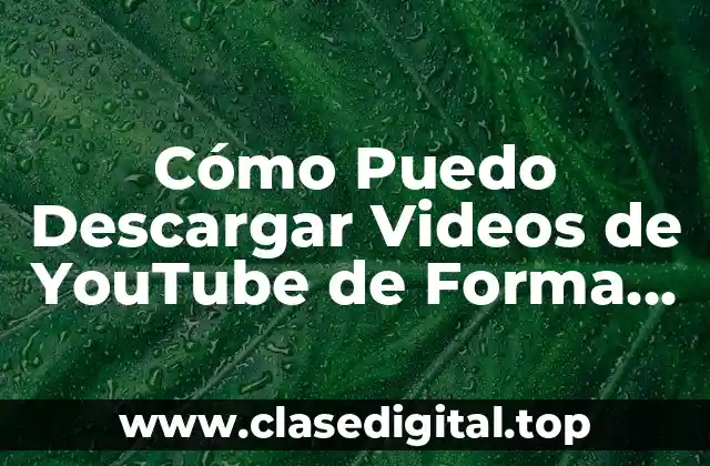 Cómo Puedo Descargar Videos de YouTube de Forma Segura y Gratuita