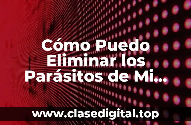 Cómo Puedo Eliminar los Parásitos de Mi Cuerpo