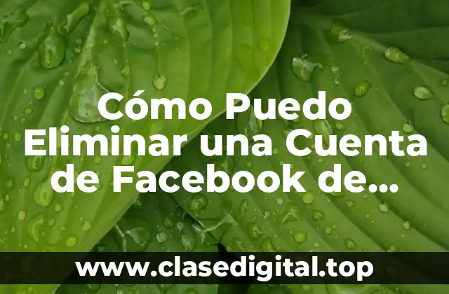 Cómo Puedo Eliminar una Cuenta de Facebook de Forma Permanente