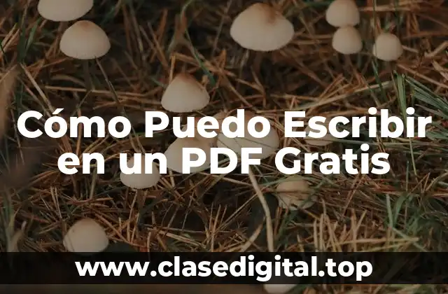Cómo Puedo Escribir en un PDF Gratis