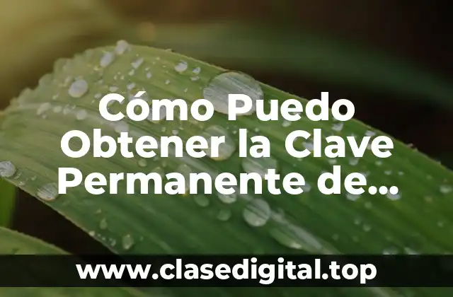 Cómo Puedo Obtener la Clave Permanente de Windows 10