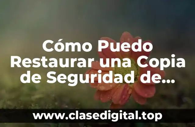 ¿Por qué es Importante Realizar Copias de Seguridad de WhatsApp?