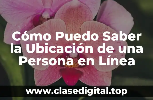 Cómo Puedo Saber la Ubicación de una Persona en Línea