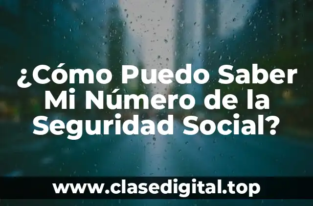 ¿Cómo Puedo Saber Mi Número de la Seguridad Social?