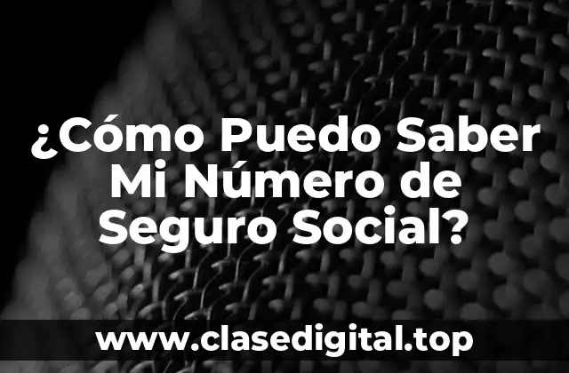 ¿Por qué es Importante Tener Acceso a Mi Número de Seguro Social?
