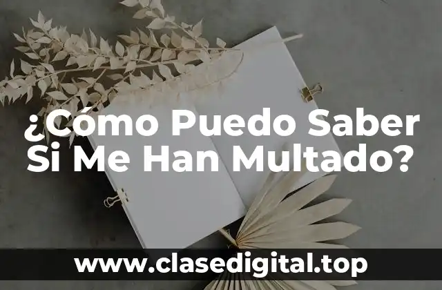 ¿Cómo Puedo Saber Si Me Han Multado?