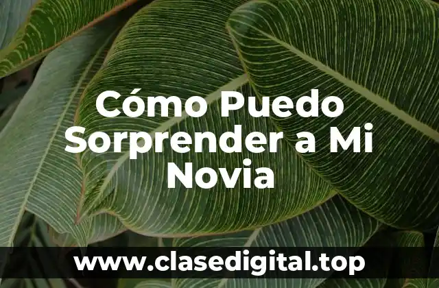 Cómo Puedo Sorprender a Mi Novia