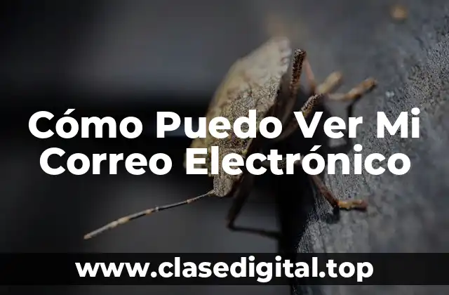 Cómo Puedo Ver Mi Correo Electrónico