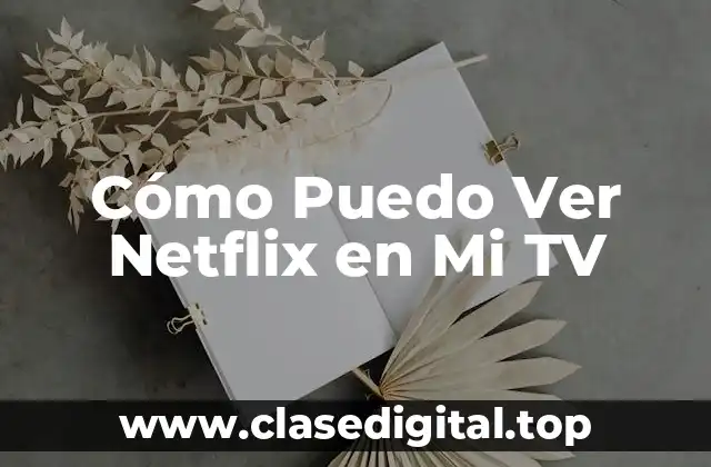 Cómo Puedo Ver Netflix en Mi TV