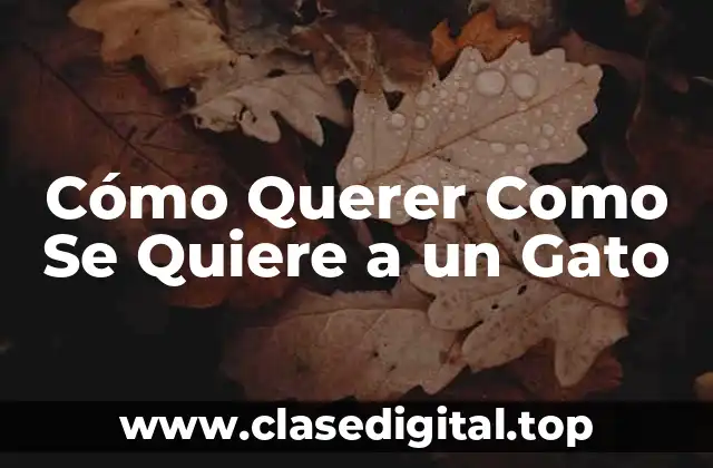 Cómo Querer Como Se Quiere a un Gato