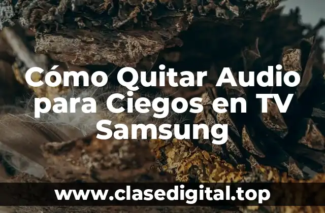 ¿Qué es el Audio para Ciegos en la TV Samsung?