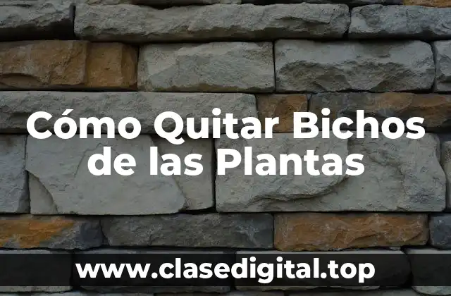 Identificar los Bichos que Afectan a las Plantas