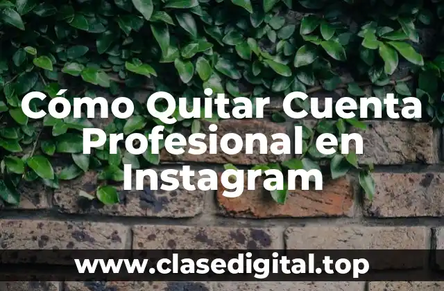 ¿Por qué querrías eliminar tu cuenta profesional en Instagram?